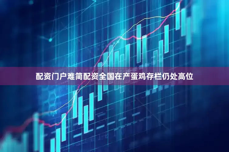 配资门户难简配资全国在产蛋鸡存栏仍处高位